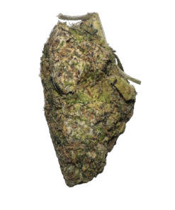 galactic runtz strain