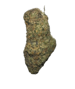 cookies and cream strain