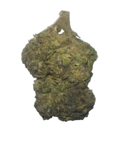 obama runtz strain