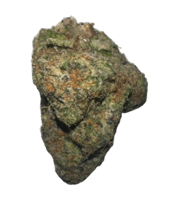 Melted Sherb strain