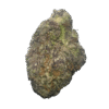 rainbow sherbet strain