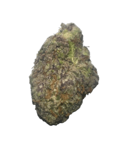 rainbow sherbet strain