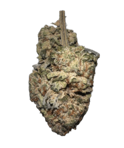kosher strain