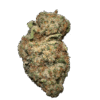 z tree strain