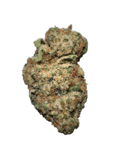 z tree strain