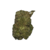 gush mints strain
