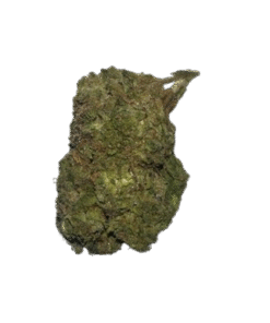 gush mints strain